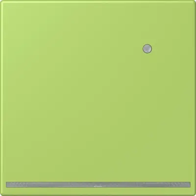 JUNG LED-orientatieverlichting met lichtsensor Les Couleurs vert clair 221 (LC 1539-O LNW 221)