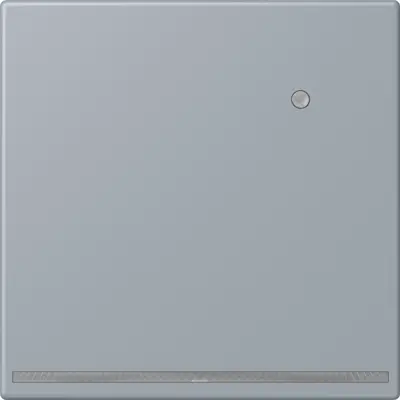 JUNG LED-orientatieverlichting met lichtsensor Les Couleurs gris clair 59 257 (LC 1539-O LNW 257)