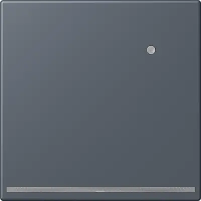 JUNG LED-orientatieverlichting met lichtsensor Les Couleurs gris fonce 59 262 (LC 1539-O LNW 262)