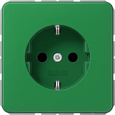 JUNG wandcontactdoos besch cont schr s+ gl gn (CD 1521 NBFKIGN)
