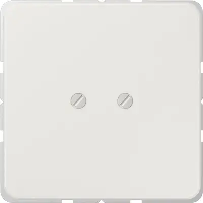 JUNG centraalplaat blinddeksel geschroefd incl. draagframe CD500 lichtgrijs (CD 561 BLG)