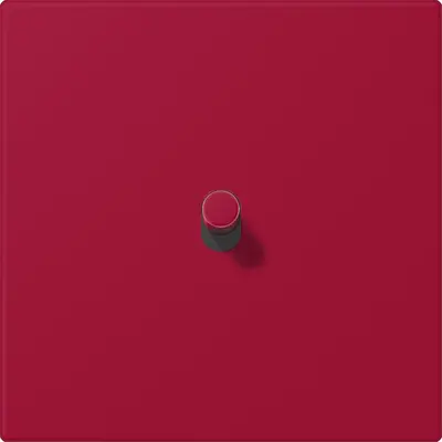 JUNG cpl ls1912 1x hevel lc32029 (LC12-0R0229)