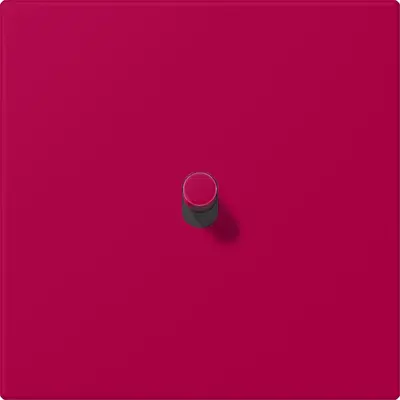JUNG cpl ls1912 1x hevel lc32030 (LC12-0R0230)