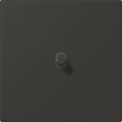 JUNG cpl ls1912 1x hevel lc32059 (LC12-0R0259)