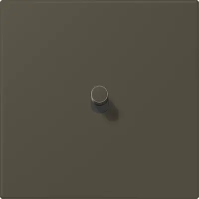 JUNG cpl ls1912 1x hevel lc32041 (LC12-0R0241)