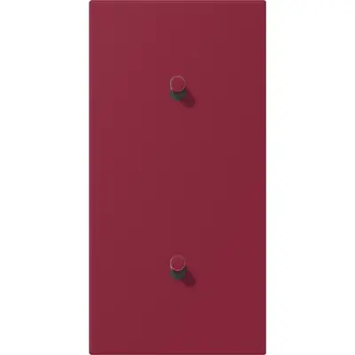 JUNG cpl ls1912 1+1 v hevel lc32055 (LC12-20R0255)