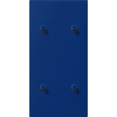 JUNG cpl ls1912 2+2 v hevel lc32061 (LC12-25R0261)