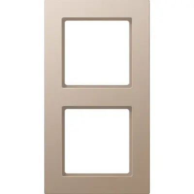 JUNG afdekraam 2-voudig A550 champagne (A 5582 BF CH)