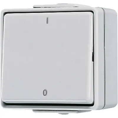 JUNG 2-polige schakelaar 10A met onderbak IP44 WG600 (602 W)