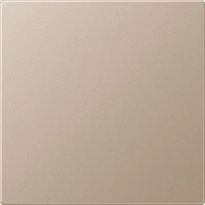 JUNG Overig Overig (A 594-0 PL CH)