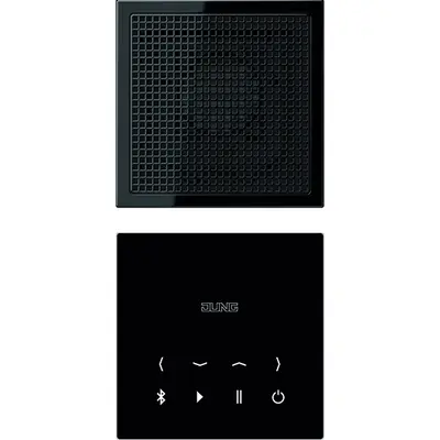 JUNG Systeeminterface bussysteem (BTC LS 918 SW)