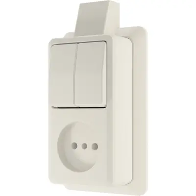 JUNG opbouw combinatie serieschakelaar/wandcontactdoos zonder randaarde met montageplaat en kabelinvoer AP600 creme (645ASM)