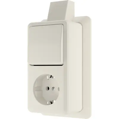 JUNG opbouw combinatie wisselschakelaar/wandcontactdoos randaarde met montageplaat en kabelinvoer AP600 creme (676 A SM)