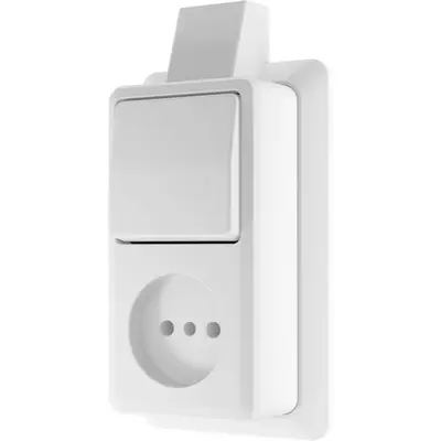 JUNG opbouw combinatie wisselschakelaar/wandcontactdoos zonder randaarde met montageplaat en kabelinvoer AP600 alpine wit (646 A SM WW)