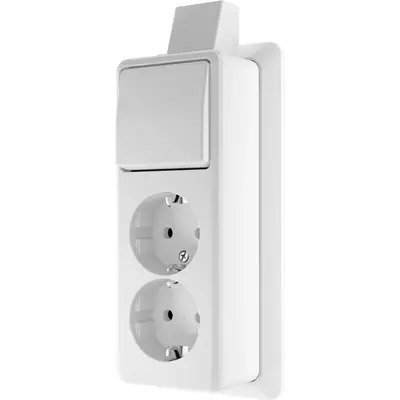 JUNG opbouw combinatie wisselschakelaar/2x wandcontactdoos randaarde met montageplaat en kabelinvoer AP600 alpine wit (626 A SM WW)