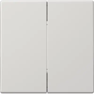 JUNG Matter batterijgevoede taster 2-voudig 4-kanaals LS990 lichtgrijs (MAT LS 995 LG)