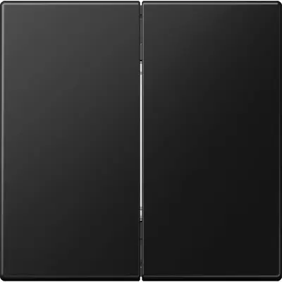 JUNG Matter batterijgevoede taster 2-voudig 4-kanaals LS990 grafietzwart mat (MAT LS 995 SWM)