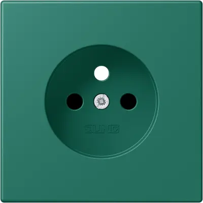 JUNG centraalplaat wandcontactdoos penaarde Safety+ vert anglais 216 (LC 1521 FKI PL-1 216)