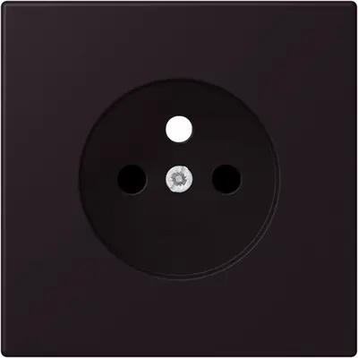 JUNG centraalplaat wandcontactdoos penaarde Safety+ noir d' ivoire 248 (LC 1521 FKI PL-1 248)