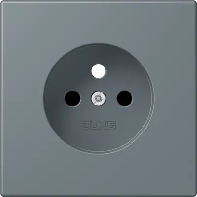 JUNG centraalplaat wandcontactdoos penaarde Safety+ gris 59 251 (LC 1521 FKI PL-1 251)