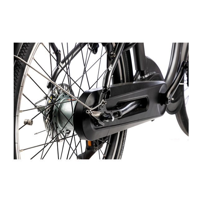 Elektrische fiets Sketch Nestor