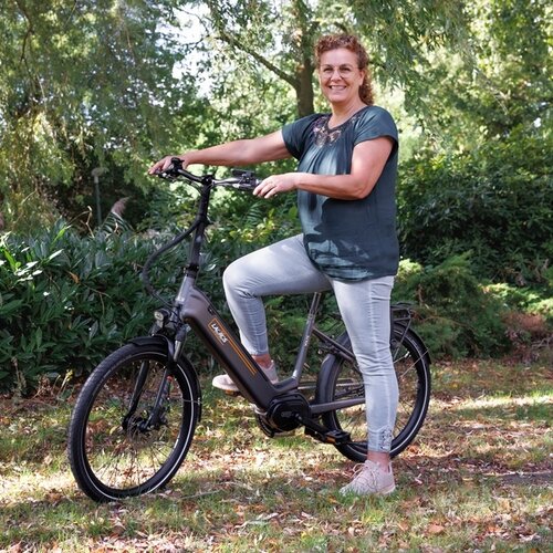 Elektrische vouwfietsen