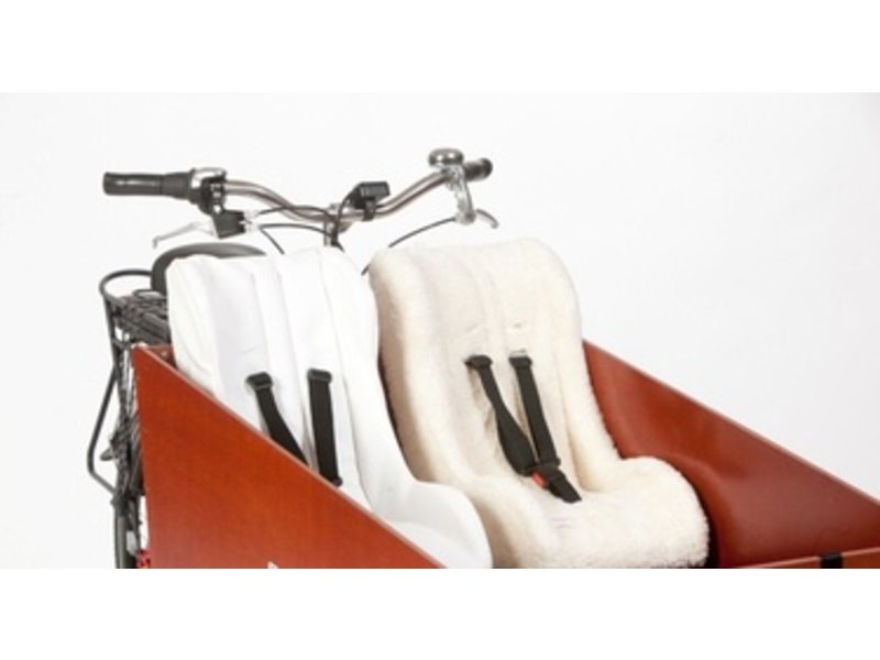 cargobike cruiser long steps