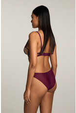 I.D. Sarrieri I.D. Sarrieri  'Royal Jewel'  Slip J5305
