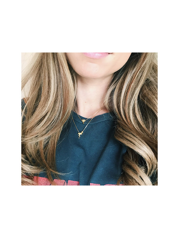 Imotionals Imotionals Bedeltje Flamingo