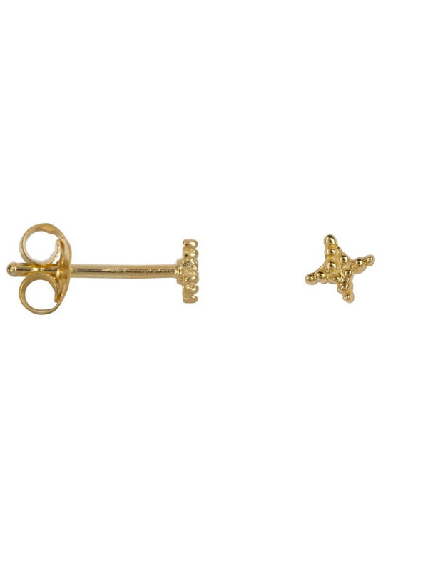 Dotted Flash Star Stud Earring Gold Plated