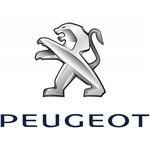 Laadstation Peugeot