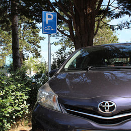 Parkeerbord Elektrische Auto op Paal