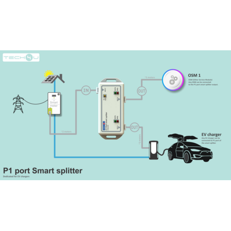 Bliq P1 Splitter voor Laadpaal