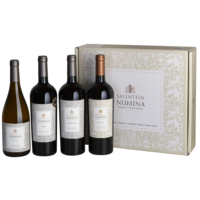 Salentein Salentein Numina 4-pack Salentein Numina 4-pack