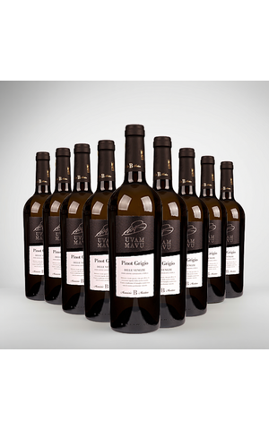 Biscardo Uvam Pinot Grigio Delle Venezie voordeelpakket Biscardo Biscardo Uvam Pinot Grigio Delle Venezie voordeelpakket