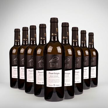 Biscardo Uvam Pinot Grigio Delle Venezie voordeelpakket