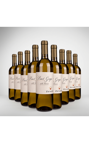 Zenato Pinot Grigio delle Venezie voordeelpakket Zenato Zenato Pinot Grigio delle Venezie voordeelpakket