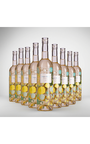 Paul Mas Paul Mas Le Pinot Grigio voordeelpakket