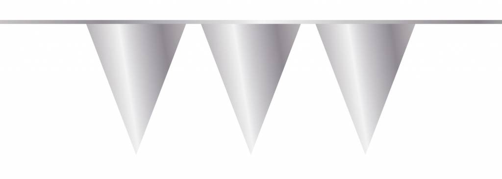 Vlaggenlijn Metallic Zilver 10M