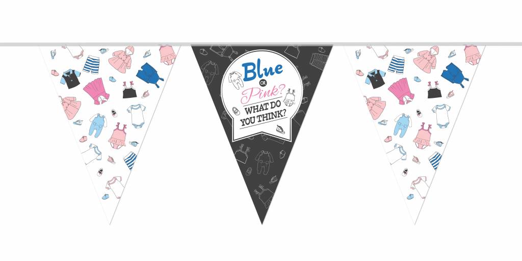 Vlaggenlijn Gender Reveal 10M