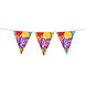 Party Factory NL Vlaggenlijn 15 Jaar Multicolor (10M) Party Factory NL Vlaggenlijn 15 Jaar Multicolor (10M)