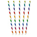 Amscan Papieren Rietjes Rainbow Mix 12ST Amscan Papieren Rietjes Rainbow Mix 12ST