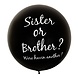 Mega Gender Reveal Ballon | Sister or Brother 90CM Mega Gender Reveal Ballon | Sister or Brother 90CM