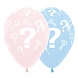 Sempertex Gender Reveal Ballonnen Vraagtekens 30CM (6ST) Sempertex Gender Reveal Ballonnen Vraagtekens 30CM (6ST)