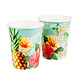 Boland Bekertjes Hawaii Paradise 210ML (10ST) Boland Bekertjes Hawaii Paradise 210ML (10ST)