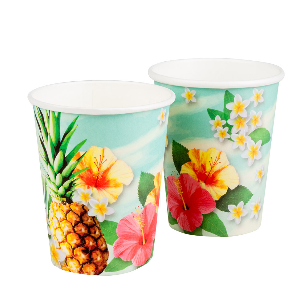 Bekertjes Hawaii Paradise 210ML (10ST)