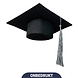Party Love NL Premium Afstudeerhoedje U.S.A. Original 29cm x 29cm Zilveren Tassel Party Love NL Premium Afstudeerhoedje U.S.A. Original 29cm x 29cm Zilveren Tassel