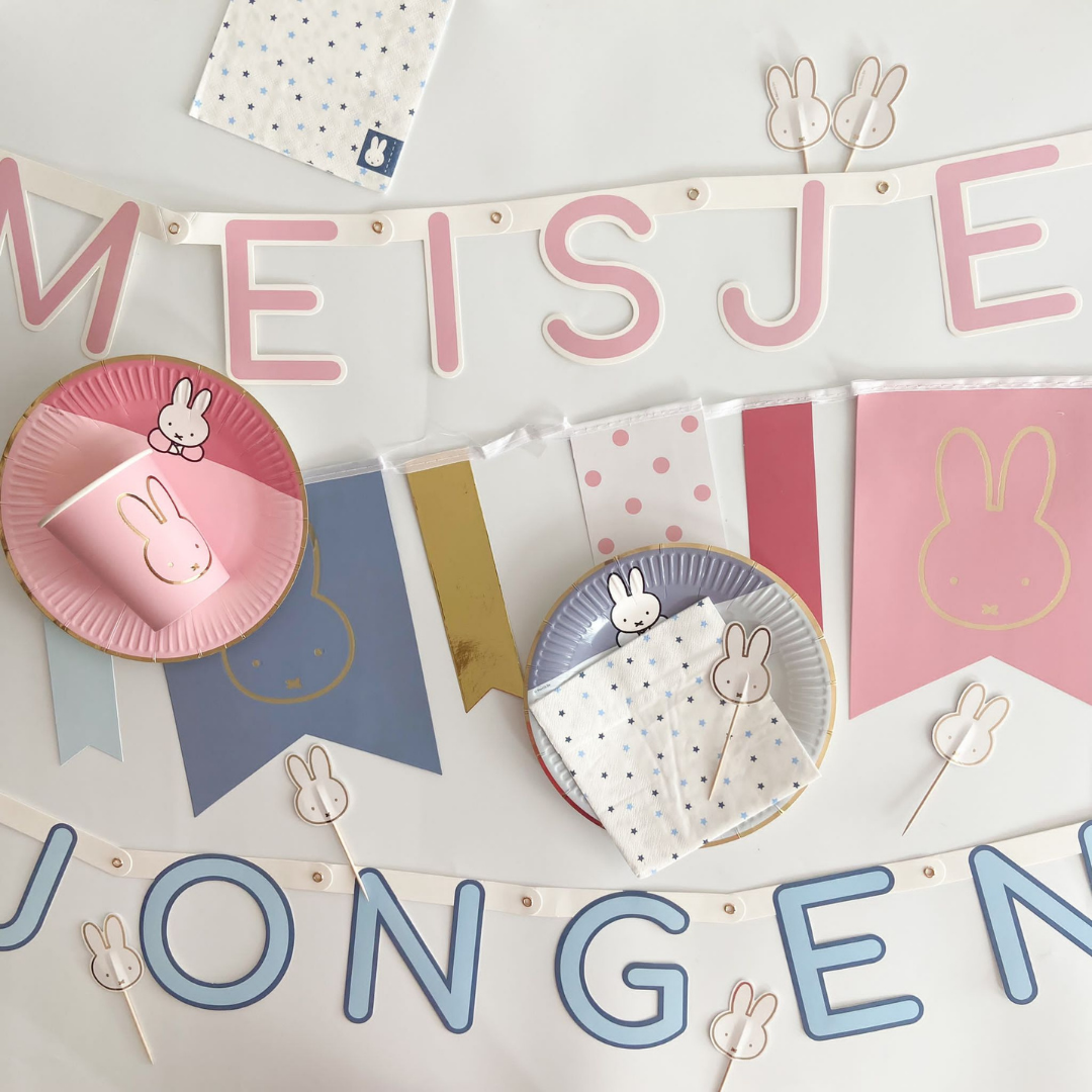 Nijntje Geboorte Versiering 