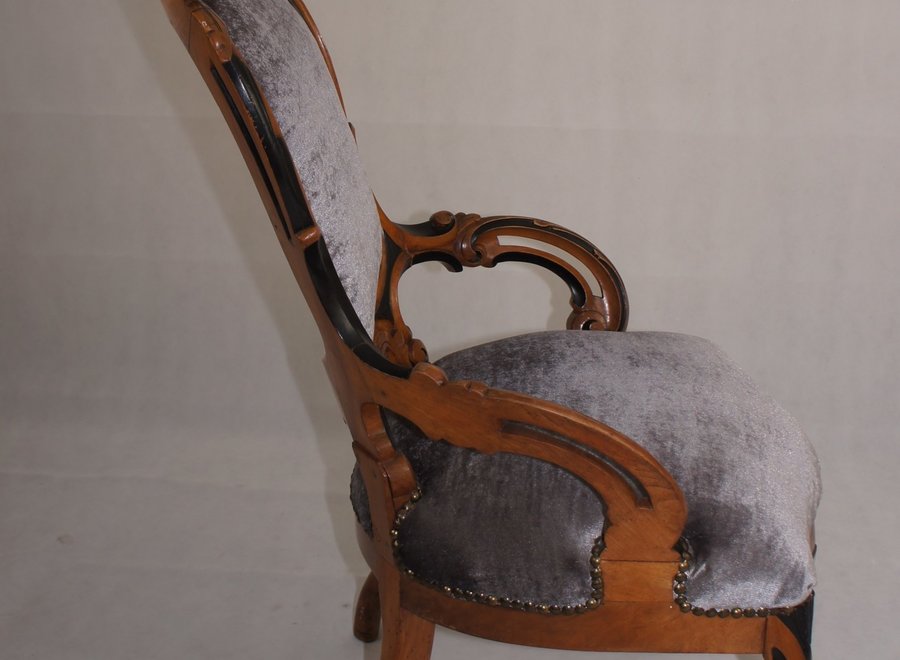 French armchair in burr walnut - Louis -Philippe