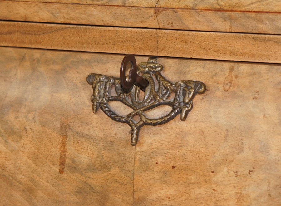 Beautiful chest of drawers in root wood - the Netherlands - Mid 20 ° Century